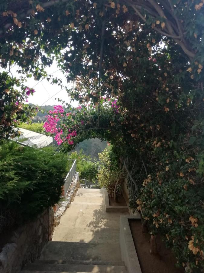 Villa Del Conte Drapia Exterior foto